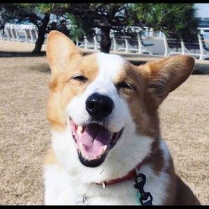 Meet your Posher, Aling